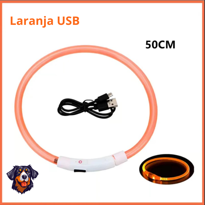 Coleira luminosa recarregável USB ajustável LED brilhante para cães e gatos