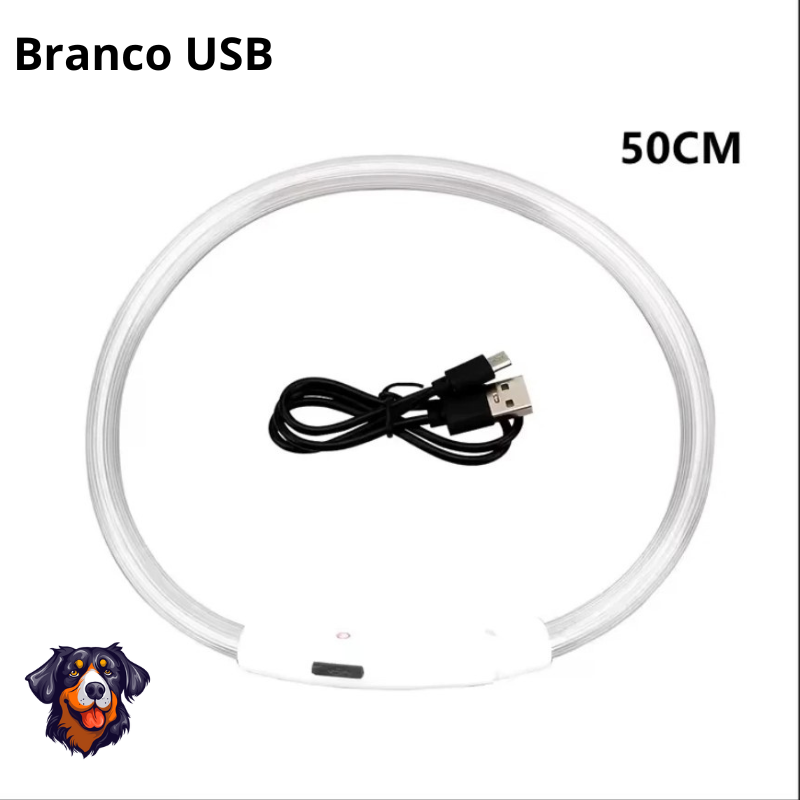 Coleira luminosa recarregável USB ajustável LED brilhante para cães e gatos