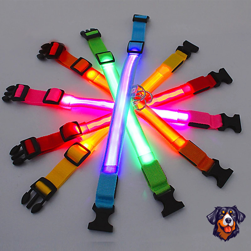 Coleira luminosa recarregável USB ajustável LED brilhante para cães e gatos
