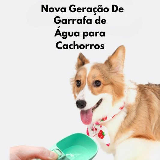 Garrafa de água para cães e gatos de estimação com alimentador de água
