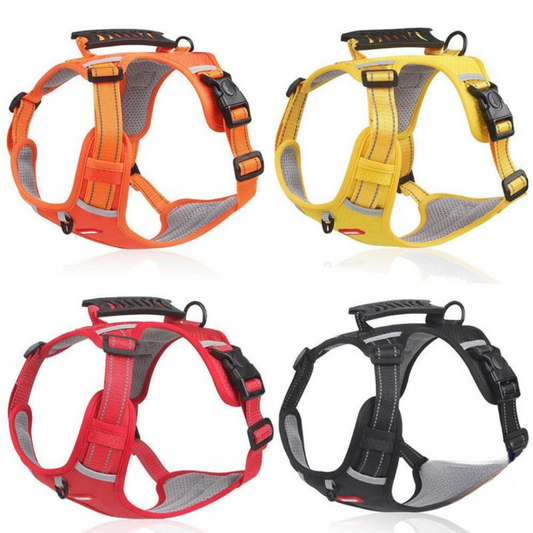 Peitoral com Guia para Filhotes