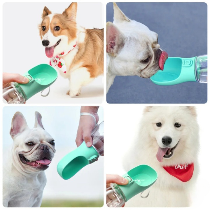 Garrafa de água para cães e gatos de estimação com alimentador de água