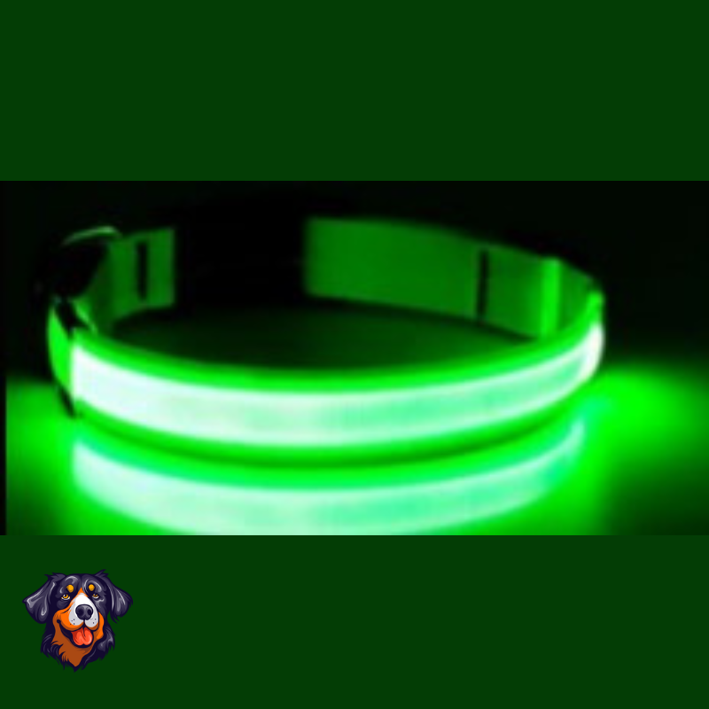 Coleira luminosa recarregável USB ajustável LED brilhante para cães e gatos