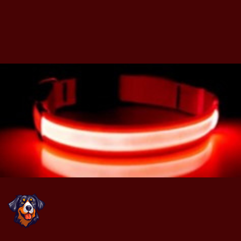 Coleira luminosa recarregável USB ajustável LED brilhante para cães e gatos