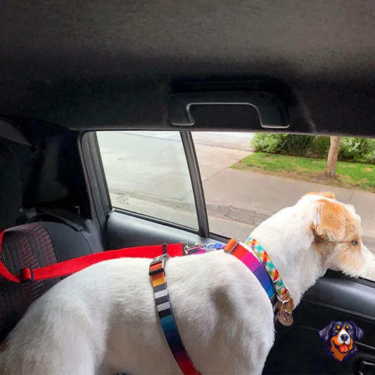 Cinto de segurança para carro para animais de estimação