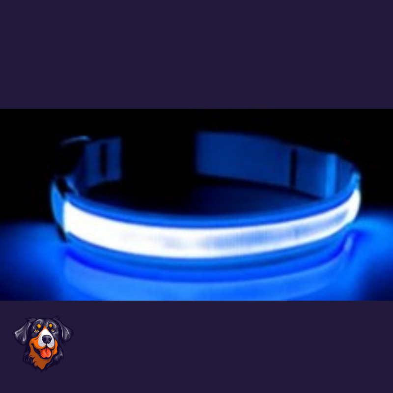 Coleira luminosa recarregável USB ajustável LED brilhante para cães e gatos