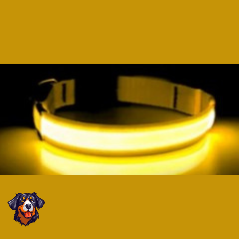 Coleira luminosa recarregável USB ajustável LED brilhante para cães e gatos