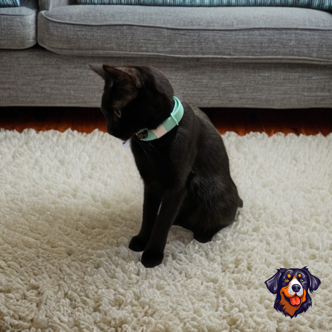 Coleira De Laser Interativa Para Gatos 🐱✨