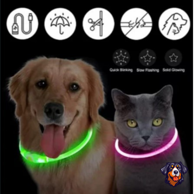 Coleira luminosa recarregável USB ajustável LED brilhante para cães e gatos