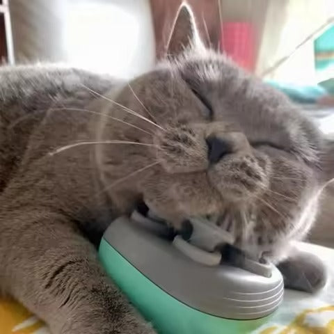 Massageador Elétrico De Couro Cabeludo Humano E Pet