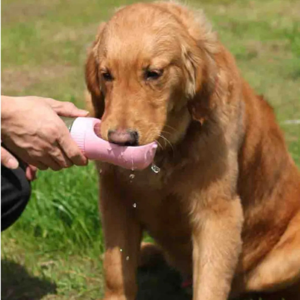 Garrafa de água para cães e gatos de estimação com alimentador de água