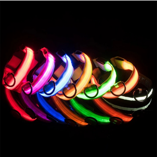 Coleira luminosa recarregável USB ajustável LED brilhante para cães e gatos