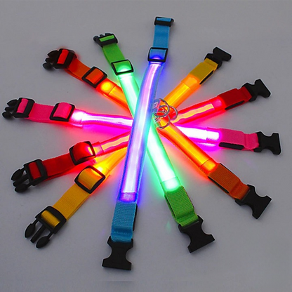 Coleira luminosa recarregável USB ajustável LED brilhante para cães e gatos