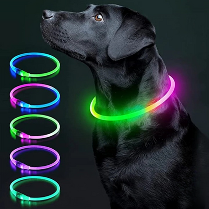 Coleira luminosa recarregável USB ajustável LED brilhante para cães e gatos