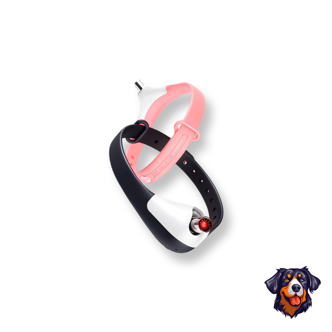 Coleira De Laser Interativa Para Gatos 🐱✨