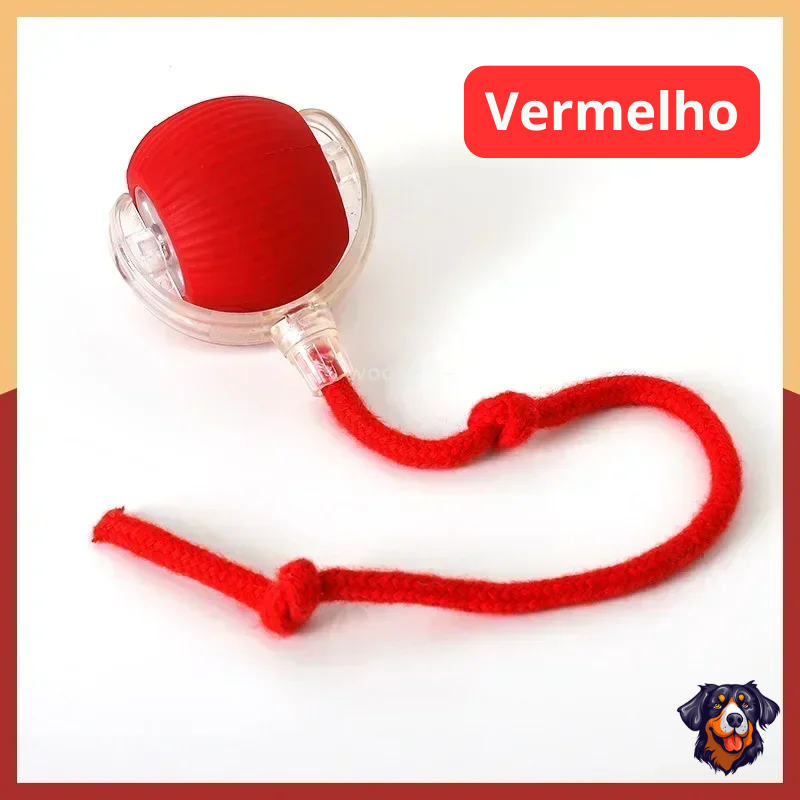 Bolinha Interativa Inteligente