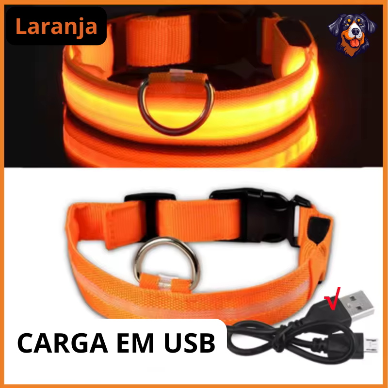 Coleira luminosa recarregável USB ajustável LED brilhante para cães e gatos