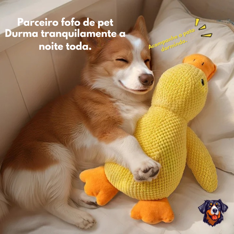 Pato de pelúcia para cachorro