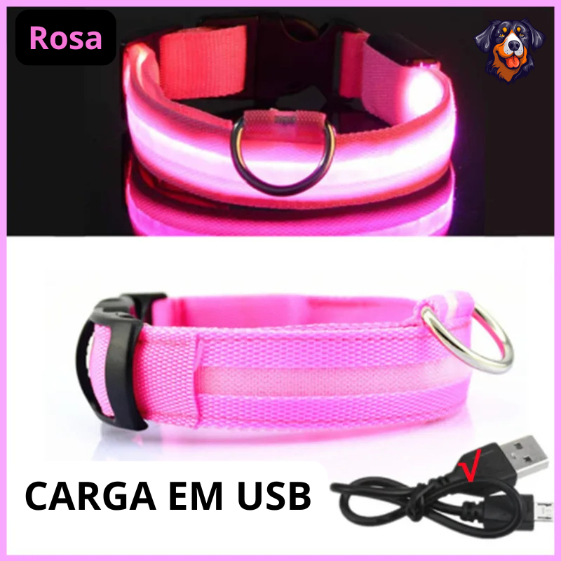 Coleira luminosa recarregável USB ajustável LED brilhante para cães e gatos