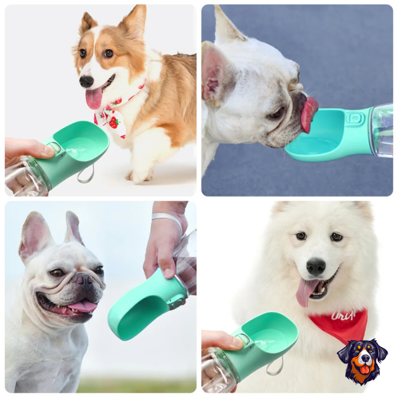Garrafa de água para cães e gatos de estimação com alimentador de água