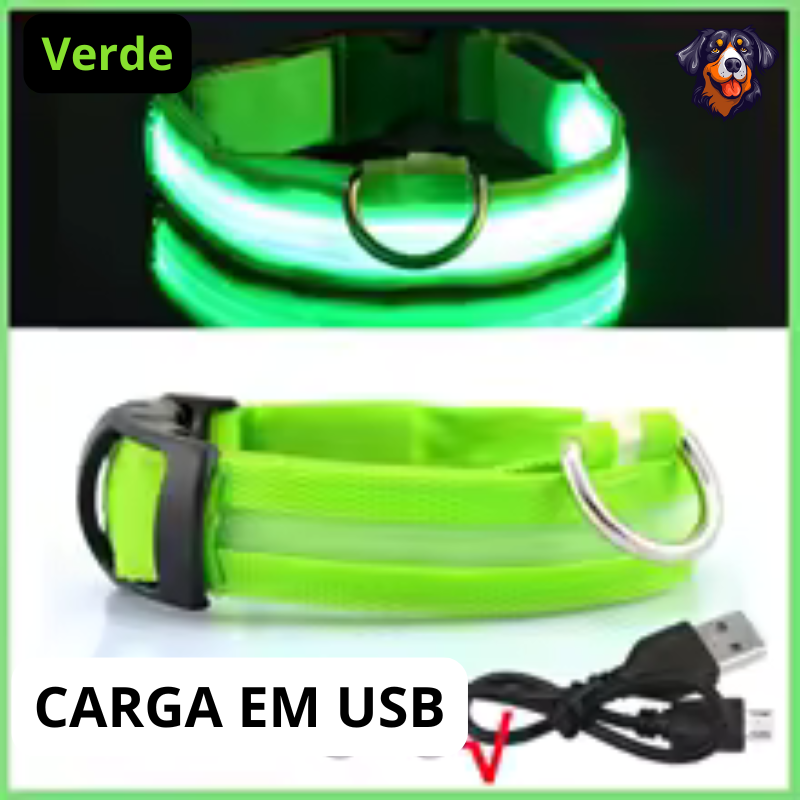 Coleira luminosa recarregável USB ajustável LED brilhante para cães e gatos