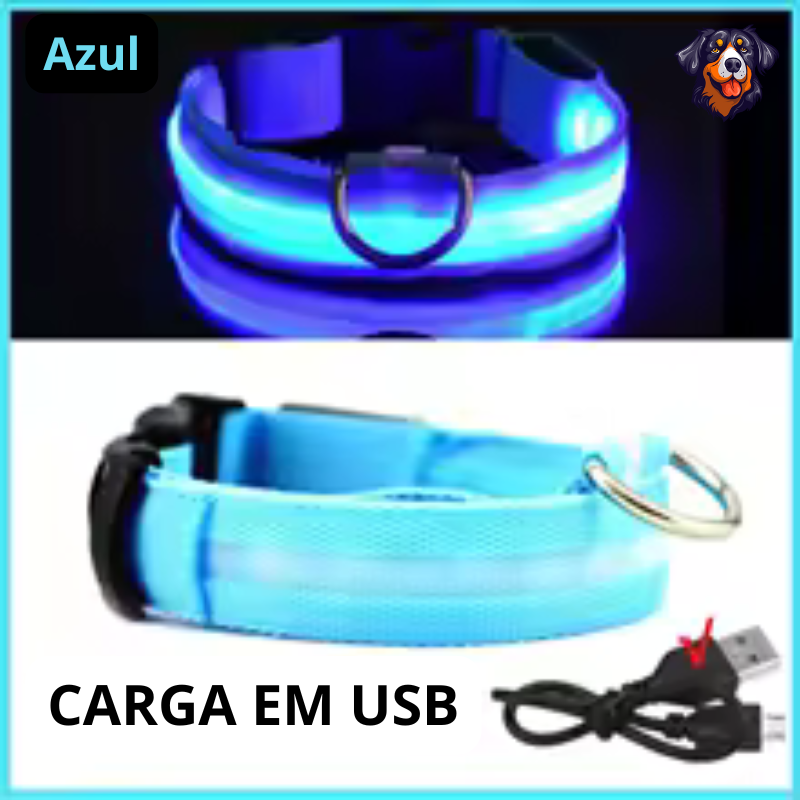 Coleira luminosa recarregável USB ajustável LED brilhante para cães e gatos