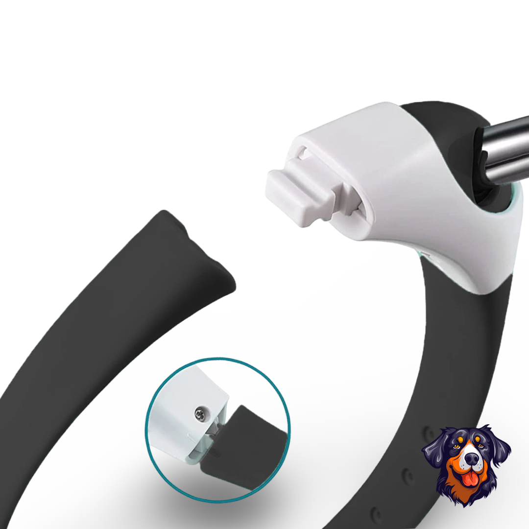 Coleira De Laser Interativa Para Gatos