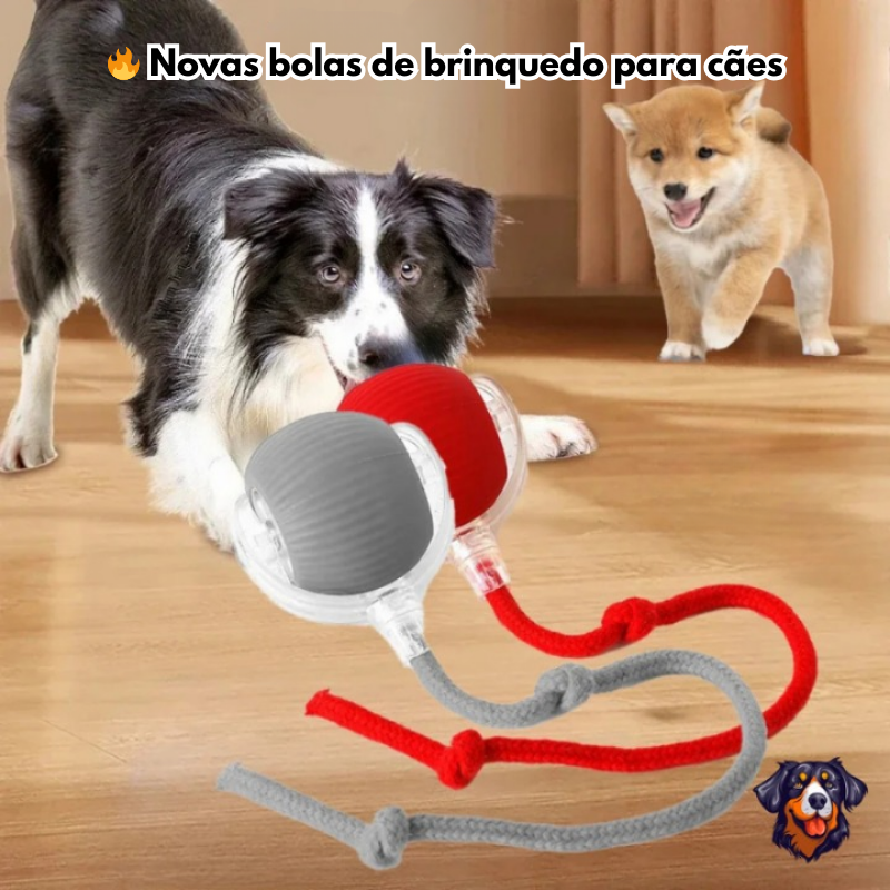 Bolinha Interativa Inteligente