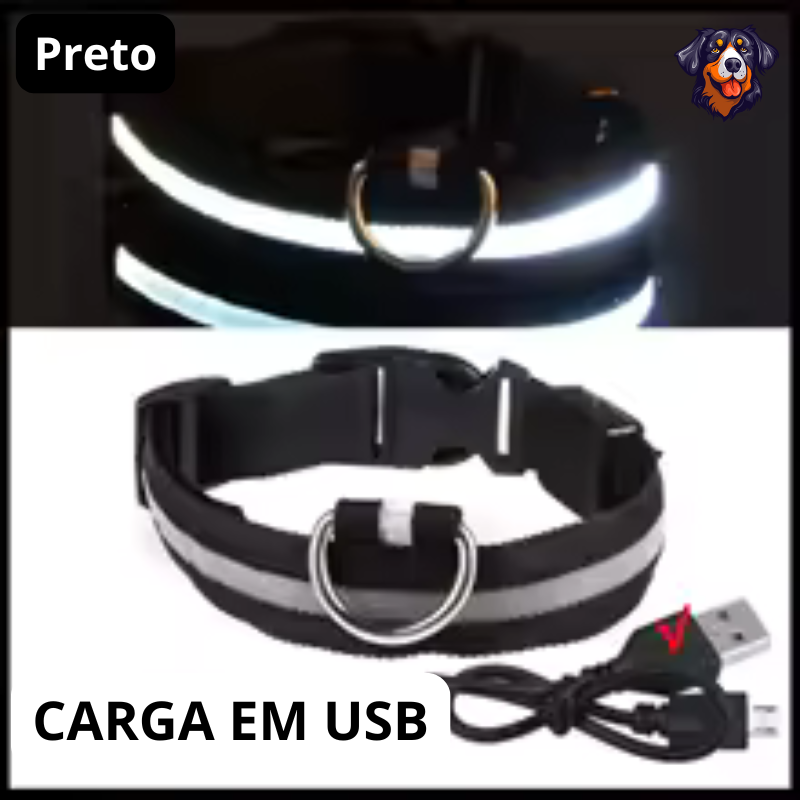 Coleira luminosa recarregável USB ajustável LED brilhante para cães e gatos