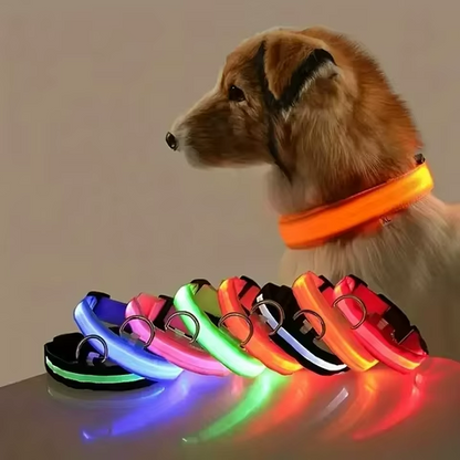 Coleira luminosa recarregável USB ajustável LED brilhante para cães e gatos