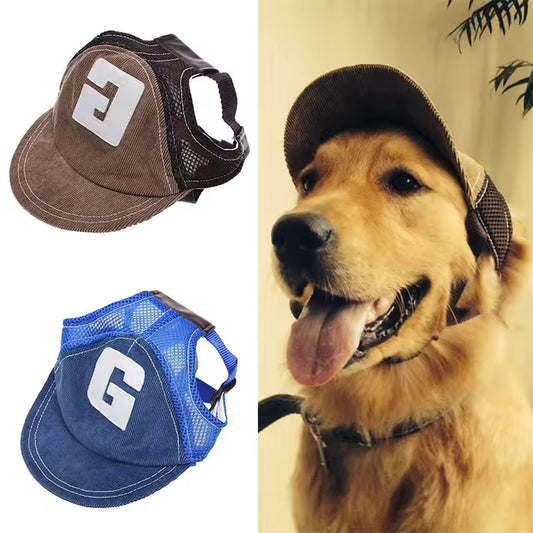 Chapéu para cachorro