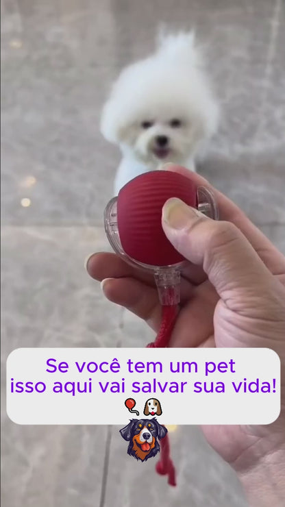 Bolinha Interativa Inteligente